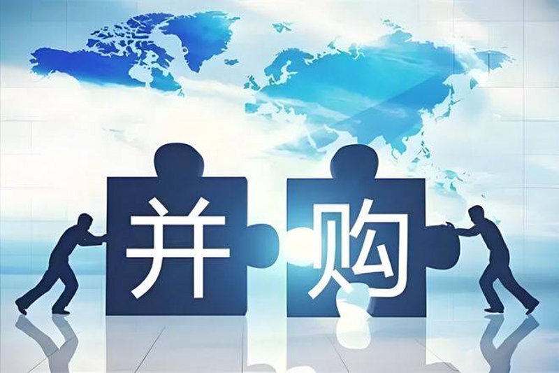 创业投资的新兴趋势：寻找未来的种子